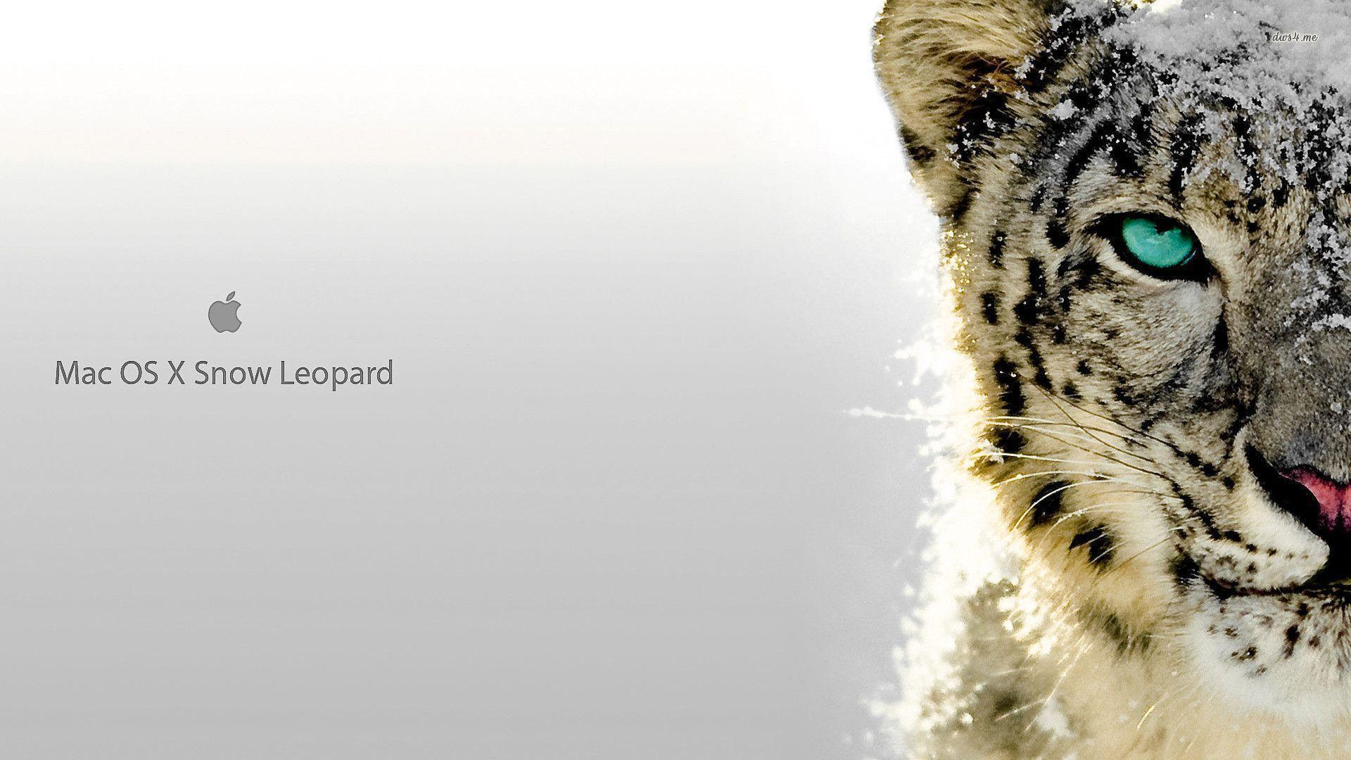 firefox for mac snow leopard free download